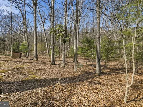 61 Grouse Cir, Lost City, WV 26810
