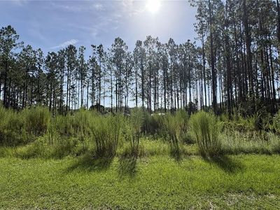 TBD NW 130TH AVENUE, High Springs, FL, 32643
