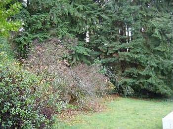 4th image of 17300 1st Ave NW