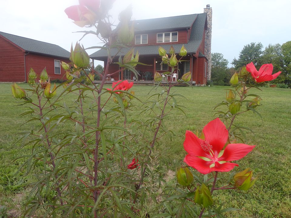 2nd image of 4203 Co 114 Rd