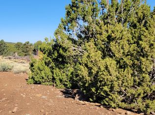 2145 E Clear Point Way, Williams, AZ 86046