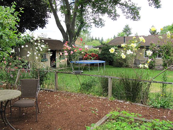 Back Yard facing house