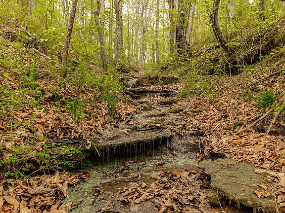 89th image of 1103 Johnny Spears Rd