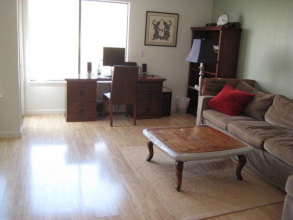 Bright, clean and open