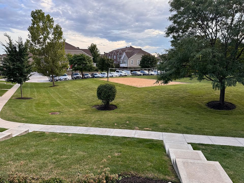 Front yard