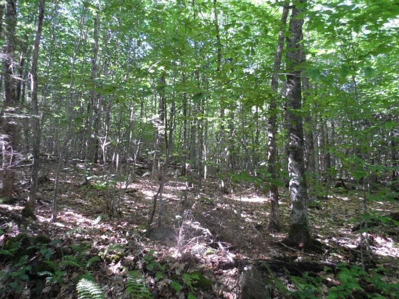 1st image of 95 Tilton Lane