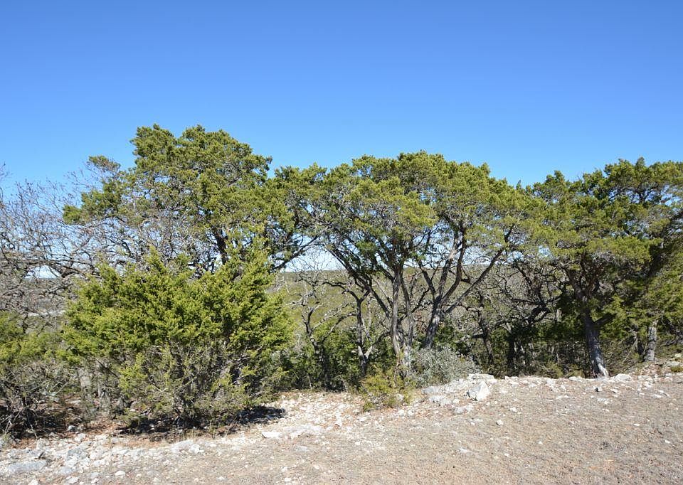 1st image of 2117 Summit Crest Dr