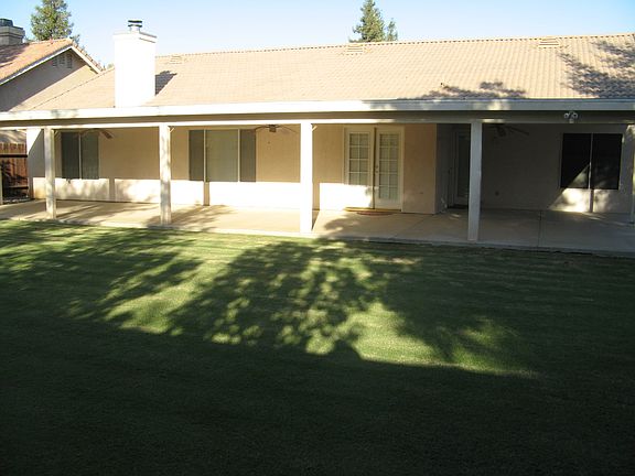 Back yard