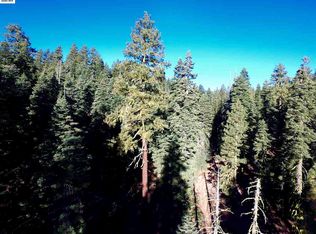 466-205 Gold Run Rd, Susanville, CA 96130