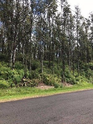 2nd image of Kahukai St Lot 19