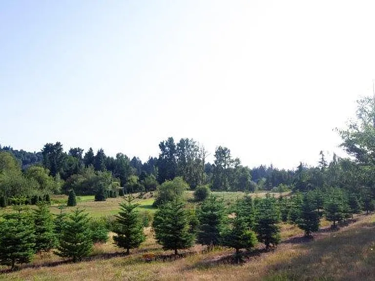 4830 Rural Rd SW #103 — Photo 39