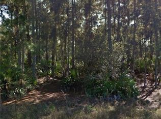 1148 Chiefland St E, Lehigh Acres, FL 33974