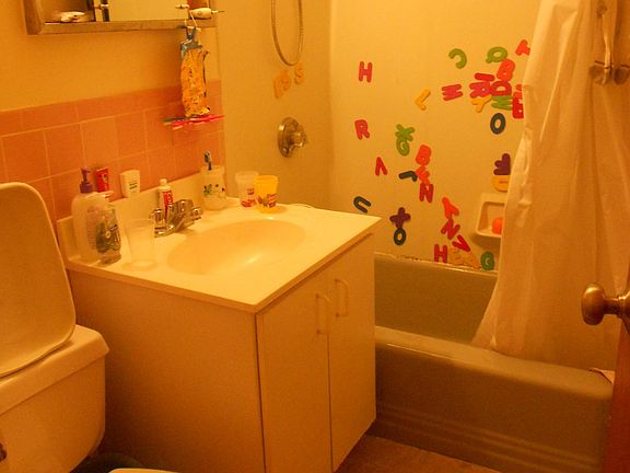 5th image of 100 Babcock St #33