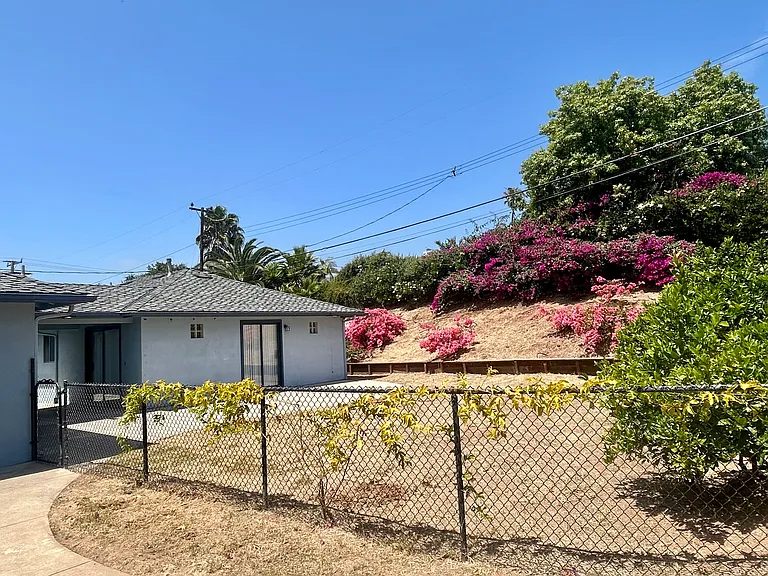 Large Backyard