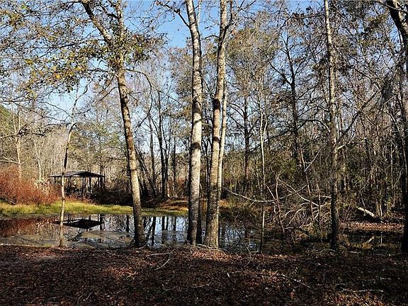 5th image of 8832 Hammock Loop