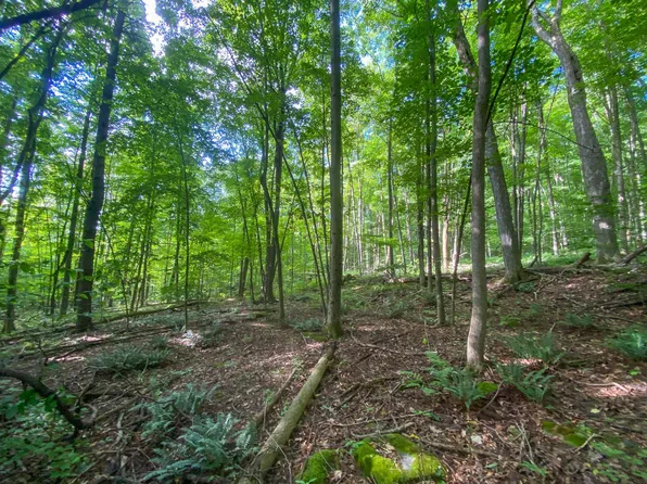 0 Sherman Lane, New Haven, VT 05472