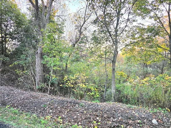 S Bender Ave, Akron, OH 44319