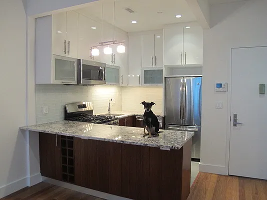 Rented by Aidonis Realty | media 11