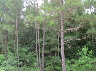 650 Green Tippett Rd, Vidalia, GA 30474