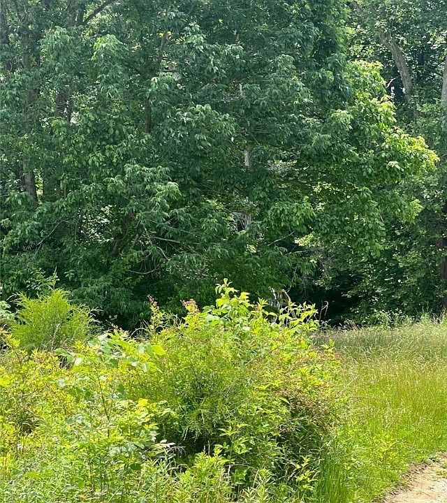 2nd image of 4370 Rogers Campground Road SE