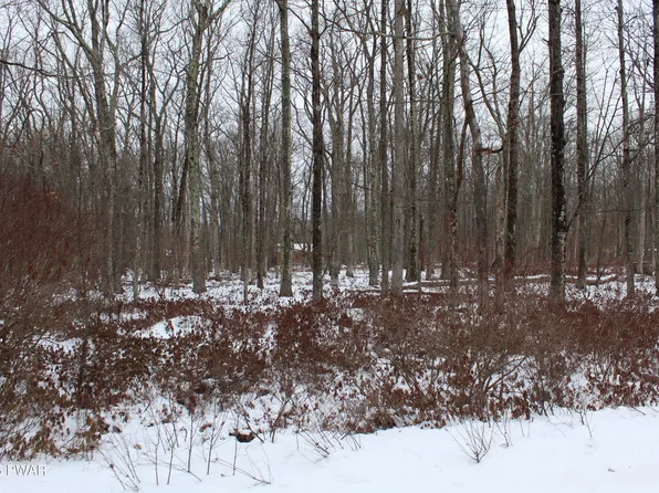133 Ironwood & Ruff Rd, Canadensis, PA 18325