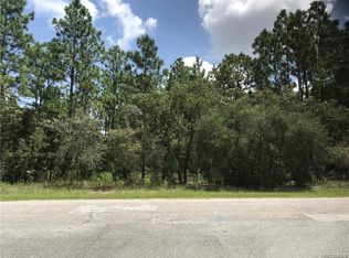 7421 N Fountainhead Dr, Citrus Springs, FL 34433