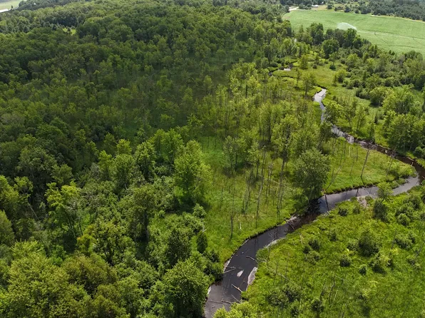 11235 W Rosebush Rd, Weidman, MI 48893