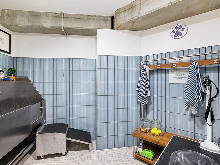 Pet Spa