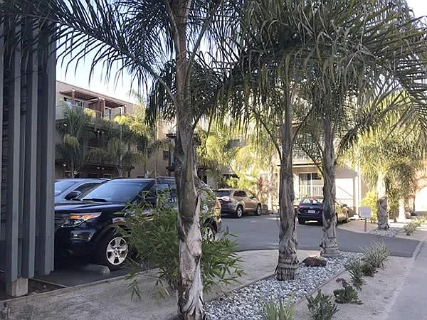 1260 Brighton Ave — Photo 4