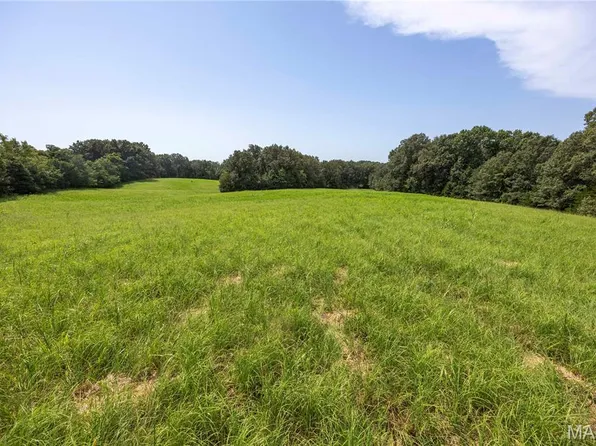 TRACT 1 Sweetgum Ln, Millersville, MO 63766