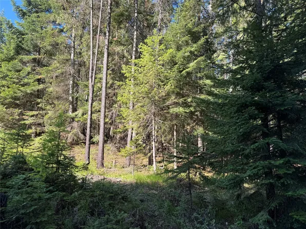 41 Rocky Ln, Thompson Falls, MT 59873