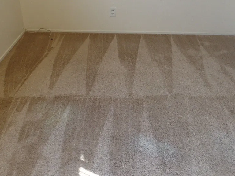341 Del Norte Ave — Photo 6