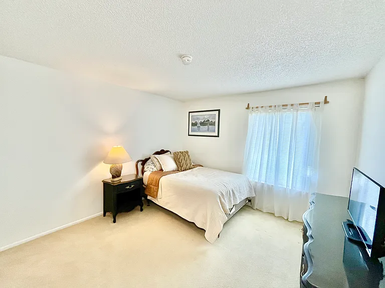 3784 Palace Dr — Photo 10