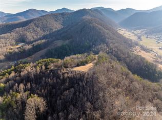 99 Greasy Cove Rd, Leicester, NC 28748