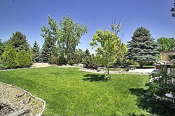 Park-Like Backyard