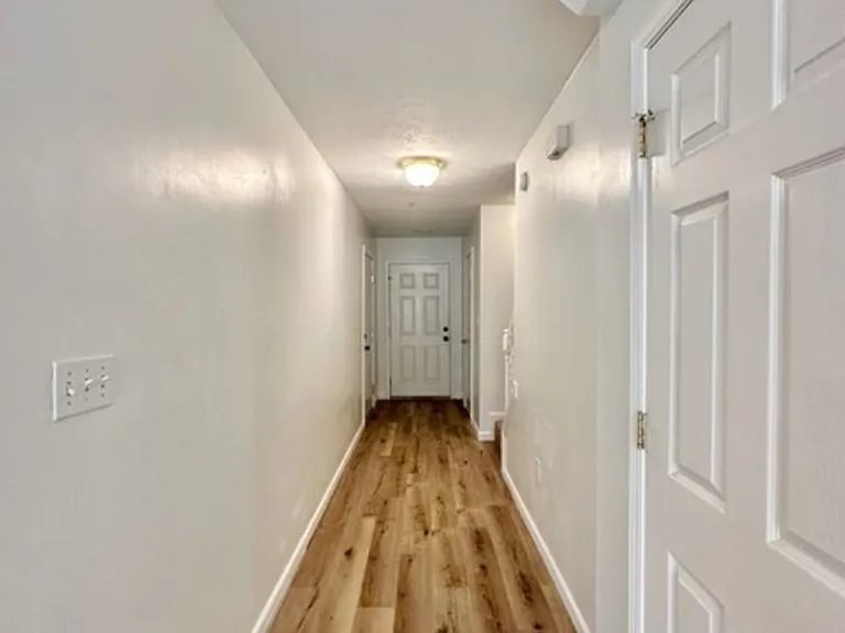 209 Swaying Pine Ct — Photo 14