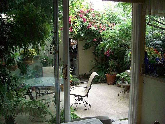 Rear Patio from Dining Room
