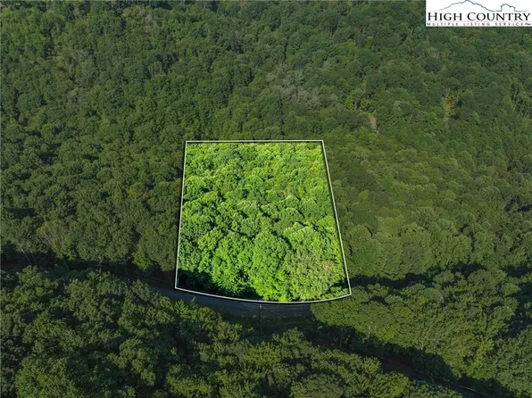 303 Locust Ridge Road, Beech Mountain, NC 28604