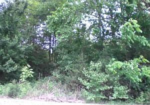 2nd image of 1788 Creely Rd