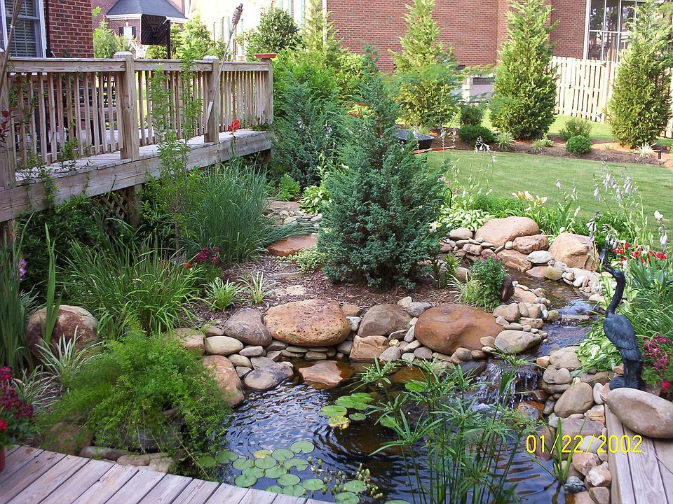 Pond