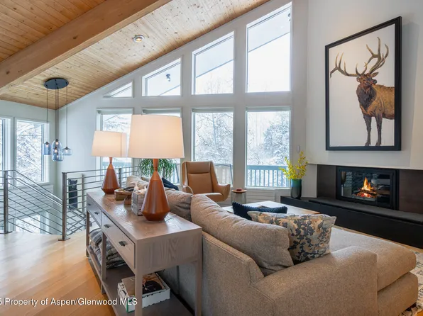 100 Mountain Laurel Ct, Aspen, CO 81611
