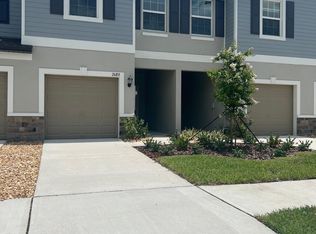 2689 Buttercup Lucine Ln, Ruskin, FL 33570
