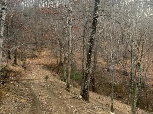 365 Strauter Rd, Franklin, WV 26807