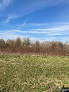LOT E Main St #A, Albertville, AL, 35951