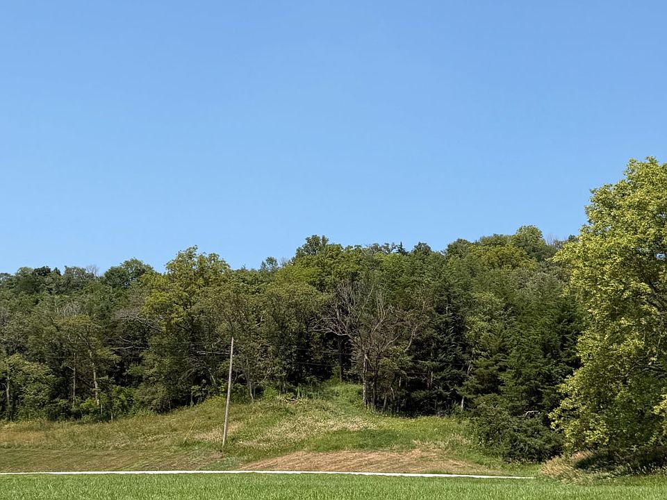 2nd image of 2303 Bluff Rd