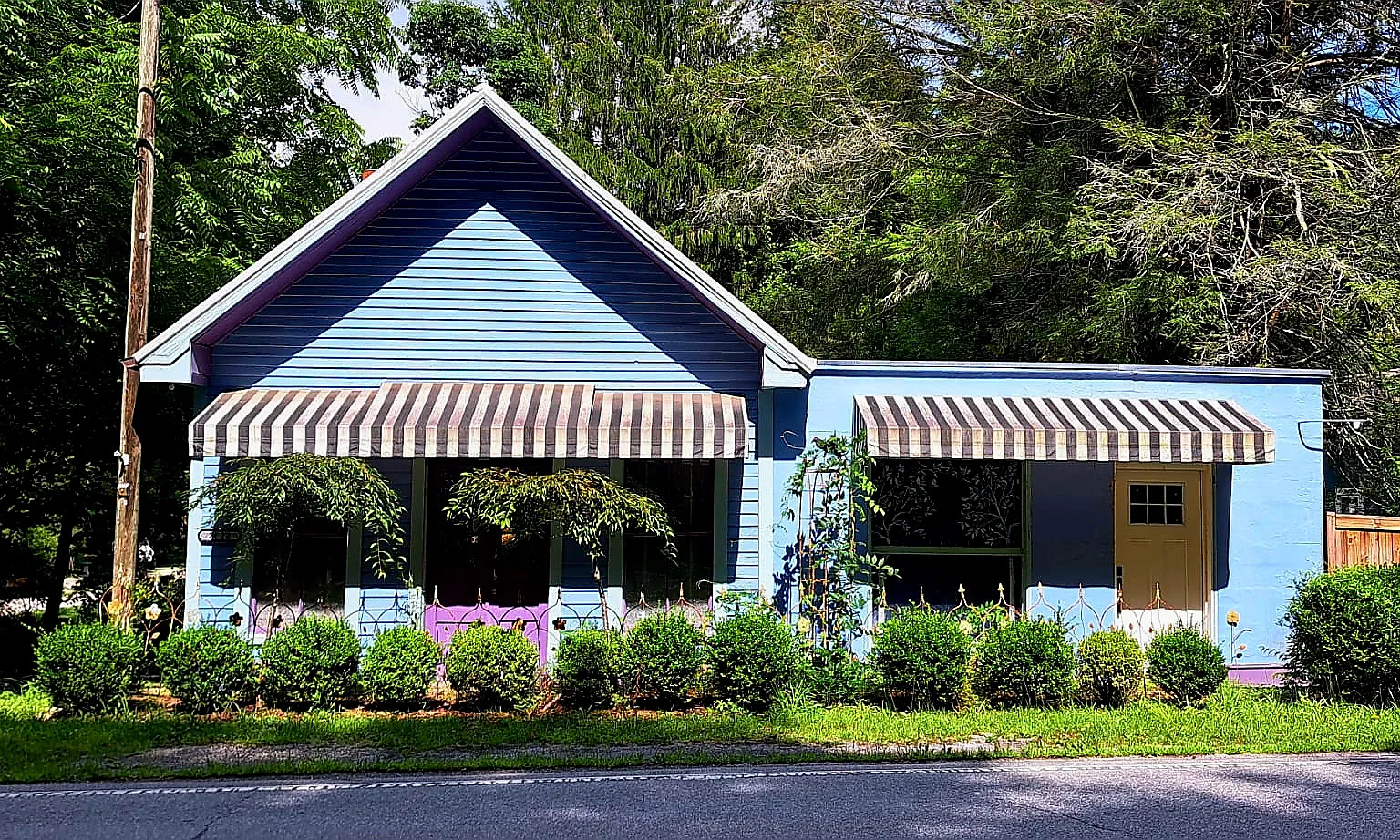 3 bed, 1.5 bath, 1474 sqft, $2,800 — Photo 2