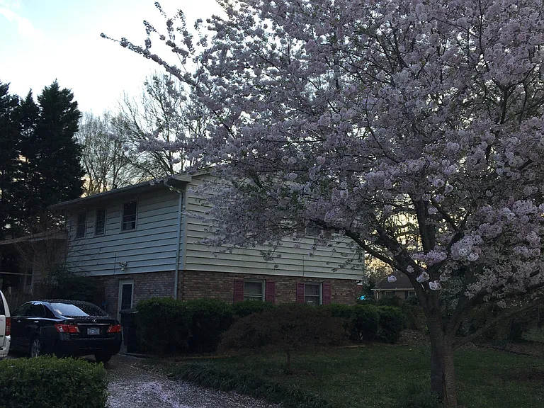 1006 McDowell Dr — Photo 5