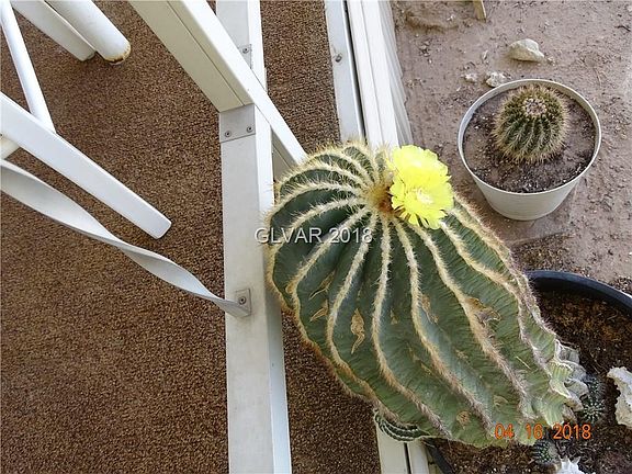4th image of 3340 Haleakala Dr