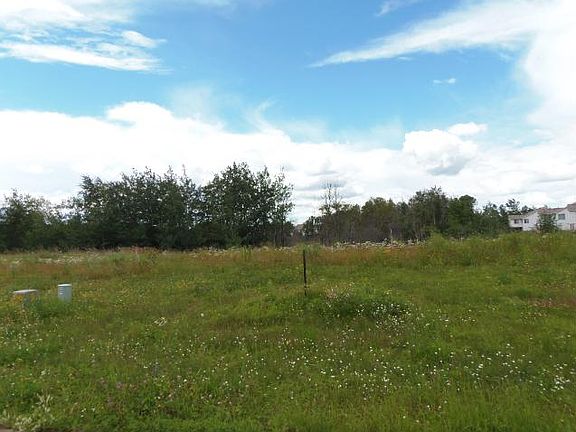 254505336_3