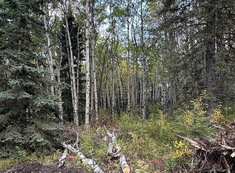 2nd image of 52 Elkstone Way